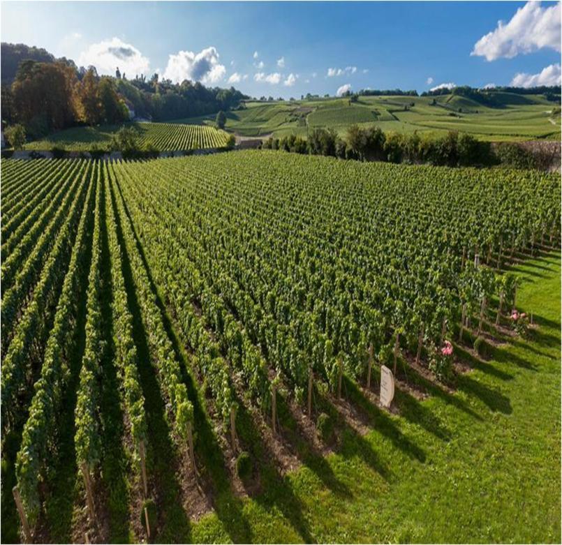 Le Clos Des Belvals Blancs-Coteaux Exteriör bild